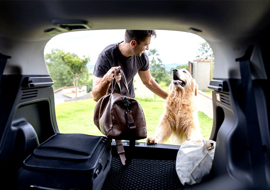 transporte de cachorro