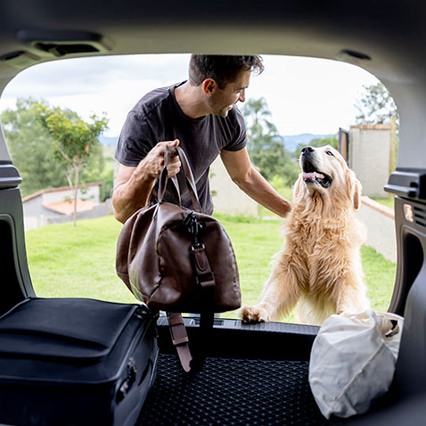 transporte de cachorro